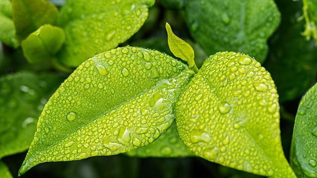 Програмування веб-додатків на Java для підтримки фреймворку Spring Spring1