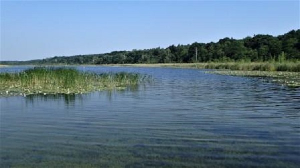 Jakość wód powierzchniowych i jej ocena metodą bioindykacji  SEJ_K3