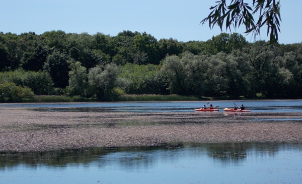 Naturalne i antropogeniczne czynniki sprzyjające eutrofizacji jezior SEJ_K4